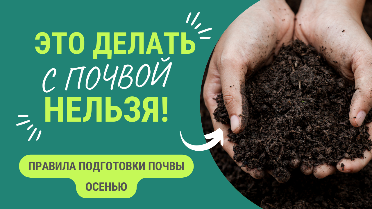 ЭТО НЕЛЬЗЯ ДЕЛАТЬ С ПОЧВОЙ ОСЕНЬЮ! смотреть онлайн
