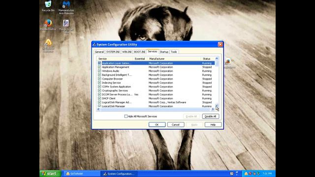 Smart Snake INC Fake tech support | Fake disconnected phone number смотреть онлайн