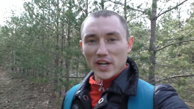 Белые Грибы на ГРЯДКЕ. Лес Усеян Грибами. Белый Гриб, Подосиновик, Подберезовик, Вешенка, Маслята смотреть онлайн