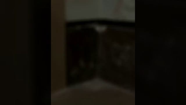 Приколи Точики ? Таджикский прикол?