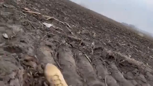 прилетело по пехоте смотреть онлайн