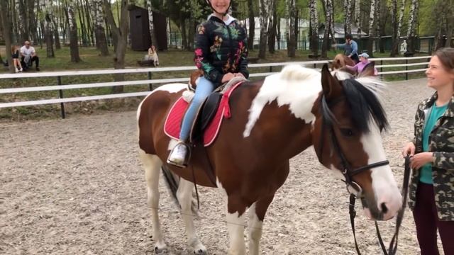 Как Кататься На Лошади? / Главные Ошибки Начинающих смотреть онлайн