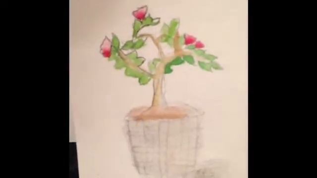 ЧЕЛЕНДЖ разные растения смотреть онлайн