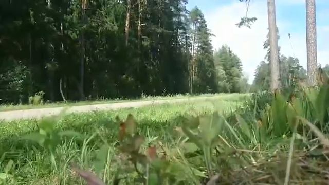 Honda GL1500 Valkyrie