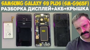 ✅Samsung Galaxy S9 Plus (SM-G965F) - РАЗБОРКА, ДИСПЛЕЙ/АКБ/КРЫШКА