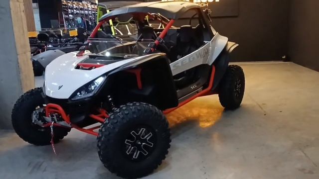 Багги SSV SEGWAY VILLAIN SX10WX