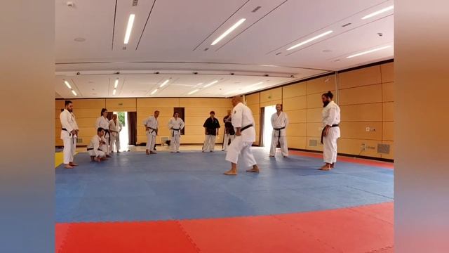 Okinawa karate Meibukan Goju ryu Ikemiyagi Dojo Italia GUMA seminar 2021 смотреть онлайн