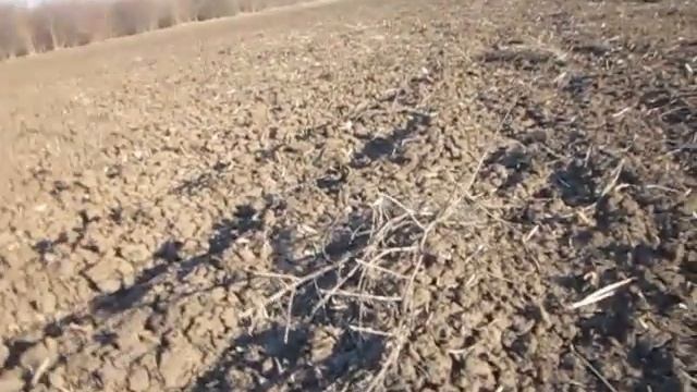Новая катушка на ACE 250. Новые находки. смотреть онлайн