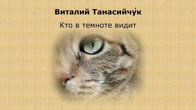 Тема 43. В. Танасийчук. «Кто в темноте видит» смотреть онлайн