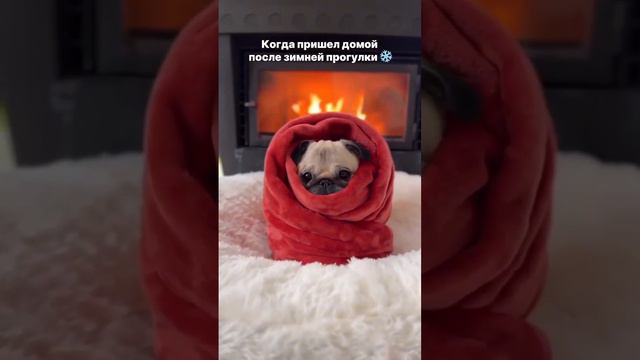 А у вас уже есть биокамин? Если еще нет, самое время выбрать! смотреть онлайн