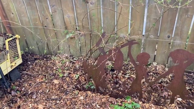 Douglas Spirea: Choose a Spot for This Flowering Native With Care! смотреть онлайн