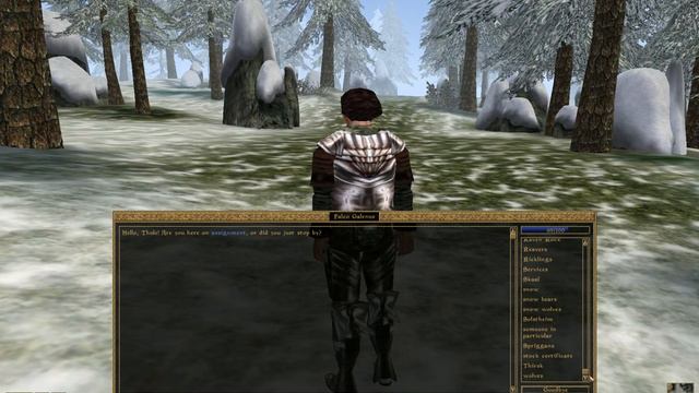 Let's Play │ Morrowind │ 61 │ Snow bear helm смотреть онлайн