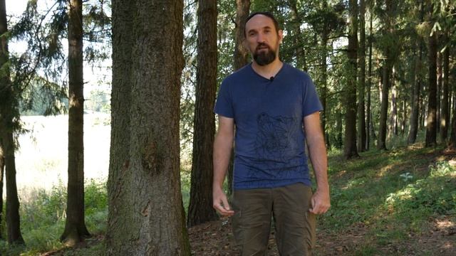 Испытания в Славянской Традиции. [Ведзнич] смотреть онлайн