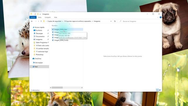 ? Cómo EXPORTAR CAPAS de Photoshop en ARCHIVOS por SEPARADO смотреть онлайн