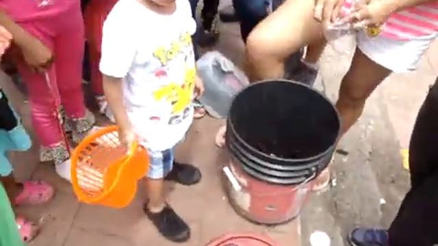 MOV01001 продажа маток и самцов муравьёв листорезов на рынке смотреть онлайн