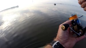 Вот так РЫБАЛКА !!! | Таких МОНСТРОВ я ещё не ловил | СНАСТЬ ГРУШКА