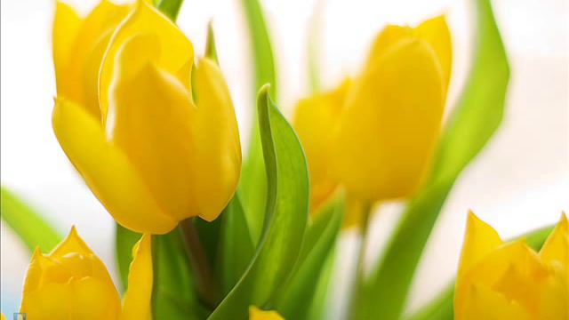 Jazz Station: Nov je dan смотреть онлайн