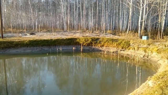 Как копать пруд( нюансы и советы.) смотреть онлайн