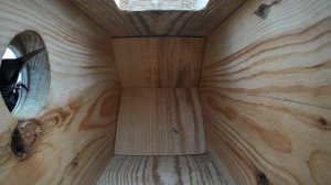 Скворцы заселились в скворечник.