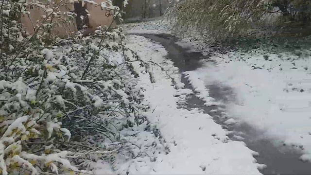 Выпал прошлогодний снег? смотреть онлайн