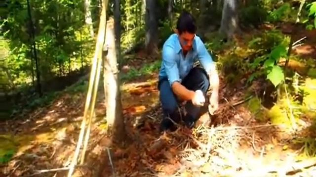 The Thirst Games смотреть онлайн