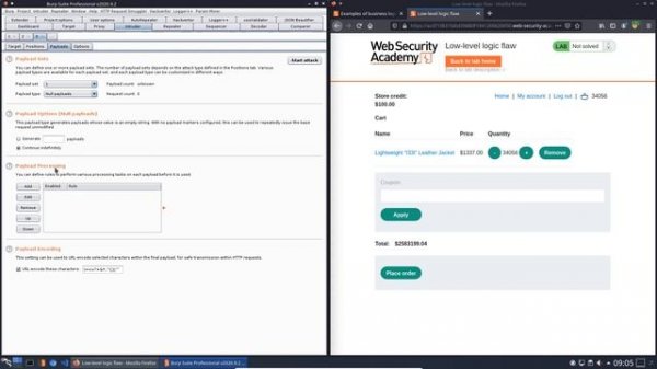 Low level logic flaw (Video solution)