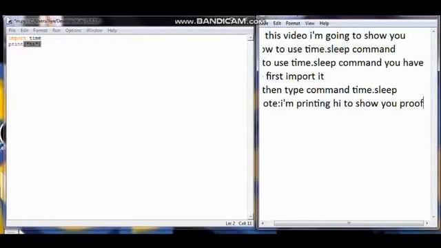 How to use time.sleep command in python смотреть онлайн