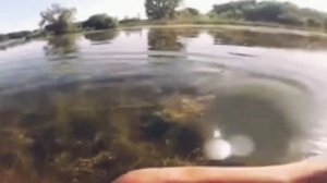 Рыбалка Уссурийск осень 2020. Рыбалка на змееголова приморский край.