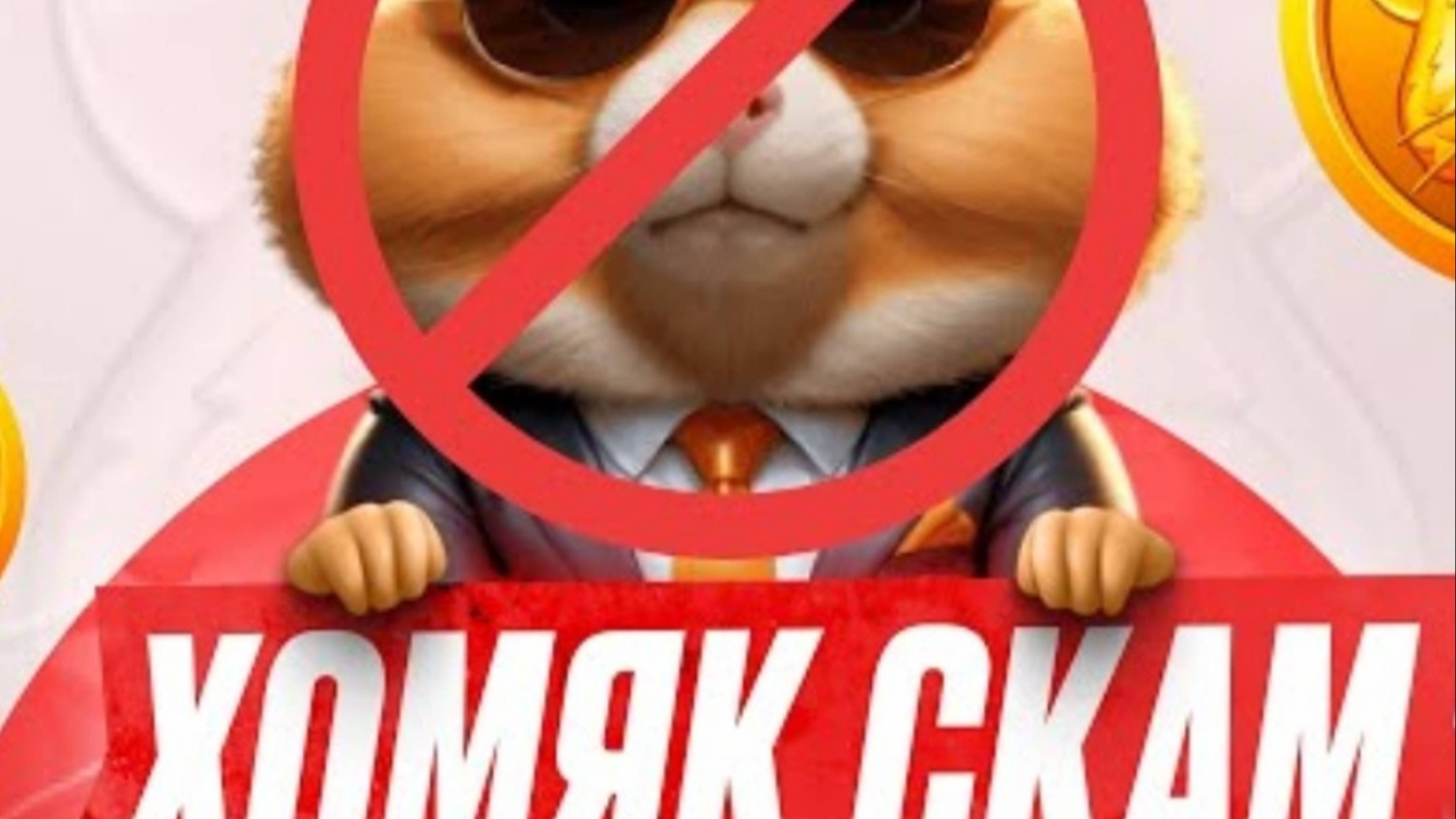 СКАМ ХОМЯК! 16 КЛЮЧЕЙ В HAMSTER COMBAT