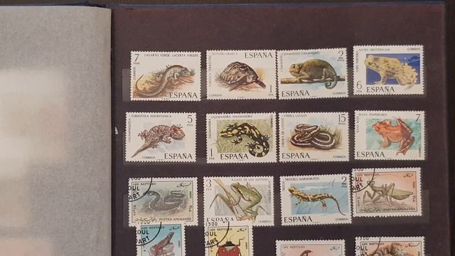 Фауна. Рептилии