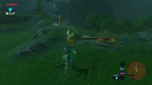 Местонахождение Касса для квеста Зверь венценосный. Гайд The Legend of Zelda:Breath of the Wild #85