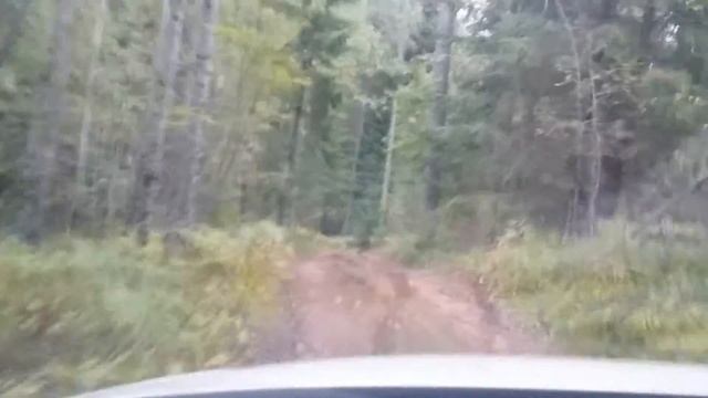 Audi q3 hillclimb(1) смотреть онлайн