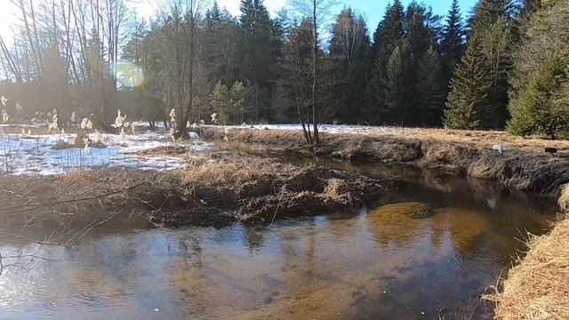 Ищем рога оленя смотреть онлайн