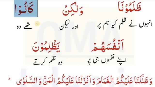 Surah Al Baqarah Ayat No 57 | Quran Majeed ka urdu Tarjuma | قرآن مجید کا مکمل لفظ بہ لفظ اردو ترجم смотреть онлайн