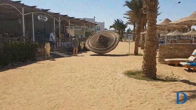 Большая шляпа! Такого вы точно не видели!!!!!!! смотреть онлайн