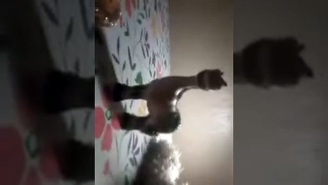 Ноч бес сна номер 1