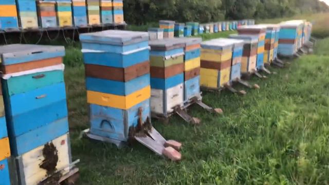 19 августа подкидываем Магазины смотреть онлайн