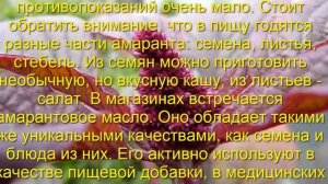 Чем полезен амарант и как его употреблять