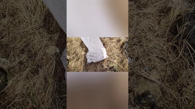 Металлокоп. Открыл сезон. смотреть онлайн