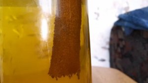 Электролиз золота. Восстановление золота током#электролиз