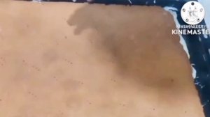 Торт ПРИЧУДА самый ЛЕГКИЙ рецепт! ЭТО НЕ ТОРТ, А НАСТОЯЩАЯ МЕЧТА!?ОЧЕНЬ ПРОСТО И НЕВЕРОЯТНО ВКУСНО!