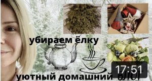 ВЛОГ: убираем ёлку и квартиру, покупки, купили лыжи, на домашнем