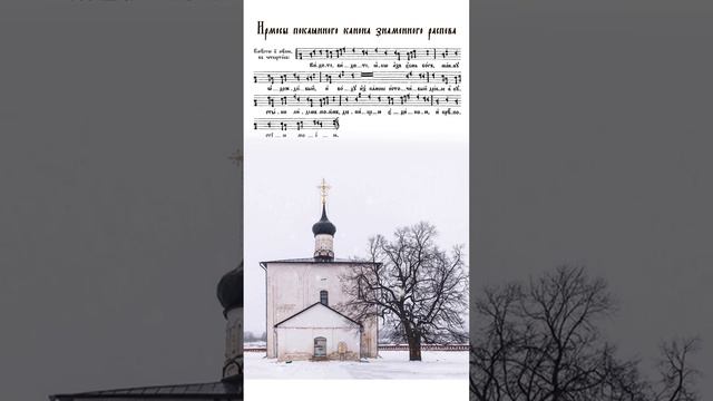 Великий канон Андрея Критского/Знаменный распев/Ирмос 2 в четверг/The Great Canon/Irmos 2 Th #short смотреть онлайн