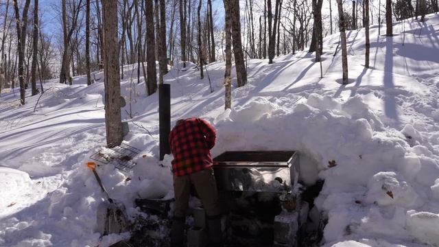A Typical Week in an Off Grid Log Cabin, Maple Syrup with My Daughter & Sister, Smoked Venison Jerk смотреть онлайн