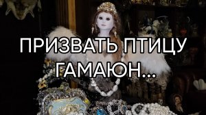 ПРИЗВАТЬ ПТИЦУ ГАМАЮН...ДЛЯ ВСЕХ...