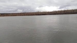 Аэролодка с румпельным управлением 21(18)л.с.