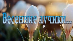 Весенние лучики  *   Мой сад