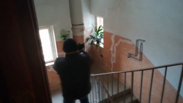 Кошка Ляля соскучилась по даче! смотреть онлайн