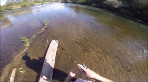 Ловим хариуса на бомбарду(сбирулину)на малой реке перед перекатом и на глубоких струях.