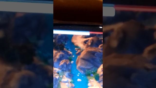 Учу вводить коды в sims 4) +50.000 симолеонов смотреть онлайн